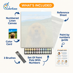 A happy golden retriever on a trail walk, with a clear sky background, and a side-by-side comparison of the same dog from different angles..