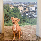 Custom Paint by Numbers Kit