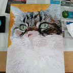 Custom Paint by Numbers Kit