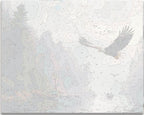 Detailed numbered canvas outline for Ferocious Eagle bird of prey DIY painting project - ColorEasePaint