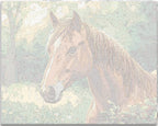 The image depicts a majestic horse standing amidst a lush, verdant field.