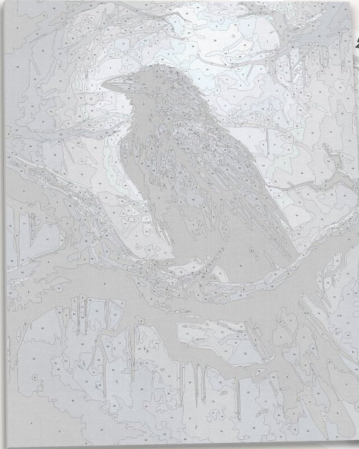 Detailed numbered canvas outline for Mysterious Raven gothic bird DIY painting - ColorEasePaint