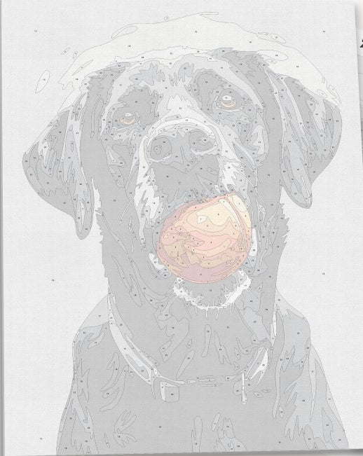 Detailed numbered canvas outline for Play Time action-themed DIY painting project - ColorEasePaint