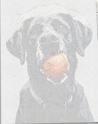 Detailed numbered canvas outline for Play Time action-themed DIY painting project - ColorEasePaint