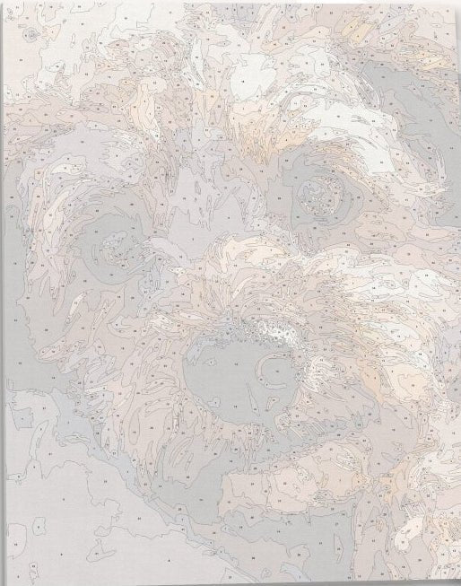 Detailed numbered canvas outline for Puppy Eyes realistic dog portrait DIY painting - ColorEasePaint