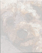 Puppy Eyes - Number Artist Paint by Numbers Kits