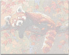 Detailed numbered canvas outline for Relaxed Red Panda wildlife DIY painting - ColorEasePaint