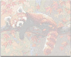 A red fox in a tree.