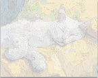 Simple and clean numbered canvas outline for Sleepy Feline cat portrait DIY painting - ColorEasePaint