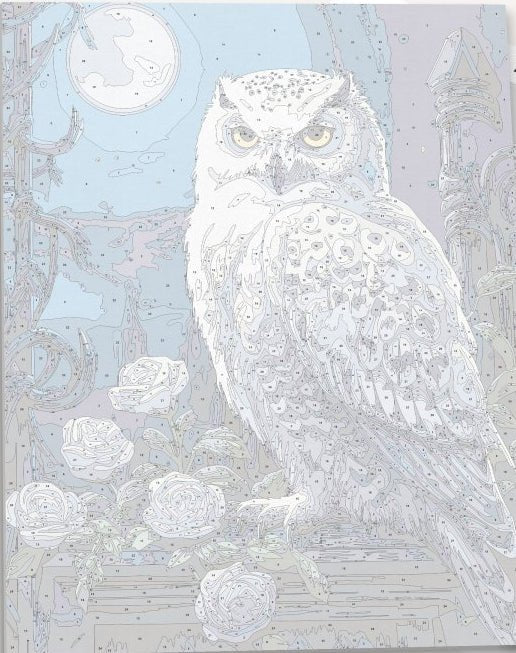 Detailed numbered canvas outline for Snowy Owl winter bird DIY painting - ColorEasePaint
